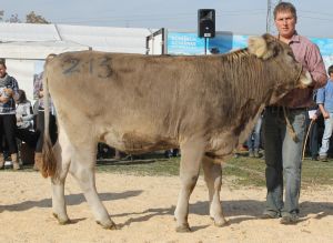 151024LU_OB_Schau 016